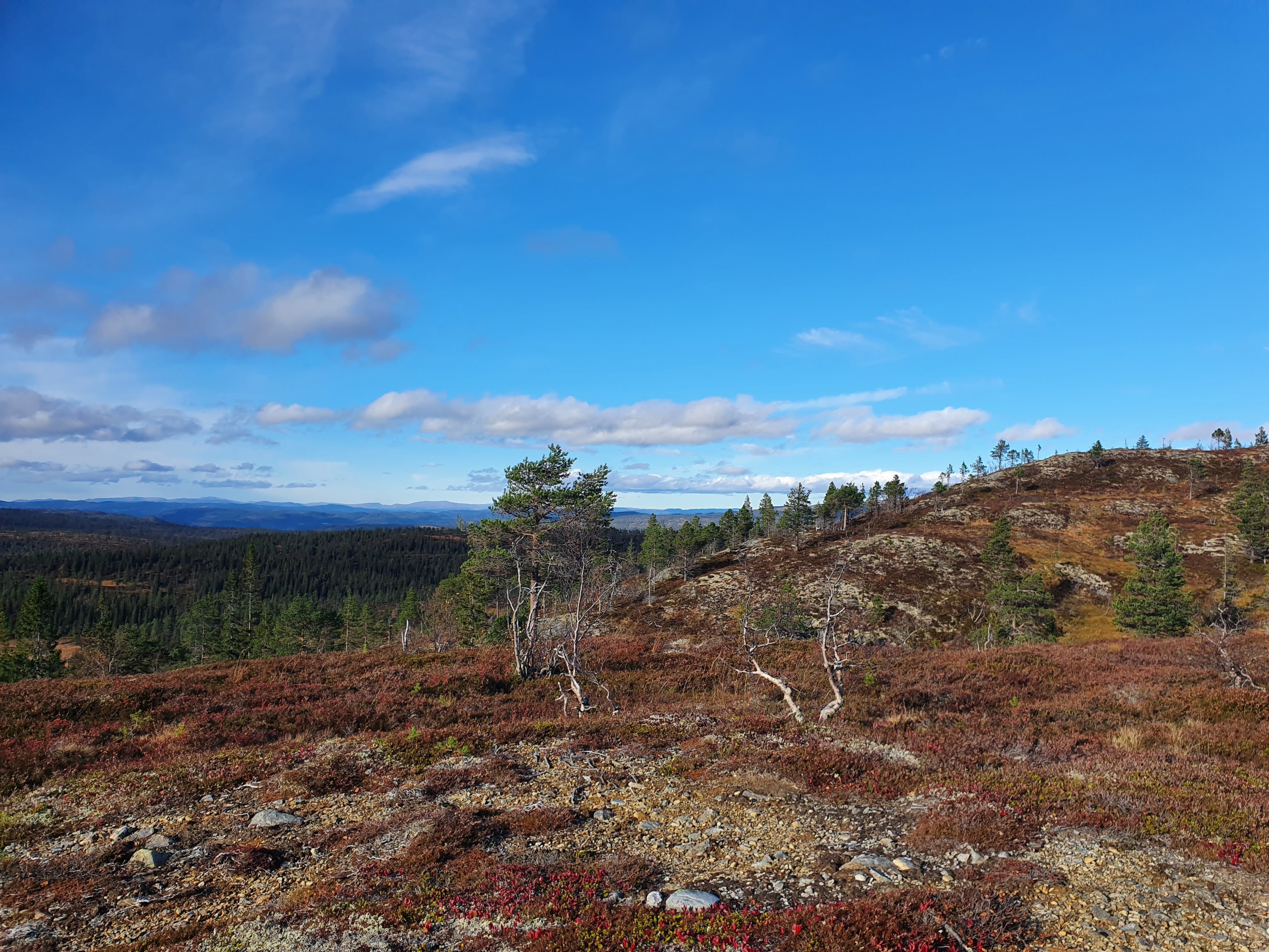 Del 3 i Trimpoengkonkurranse